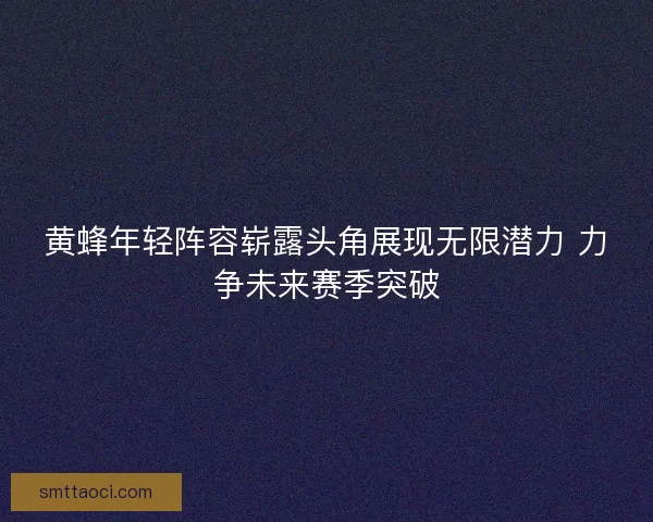 黄蜂年轻阵容崭露头角展现无限潜力 力争未来赛季突破